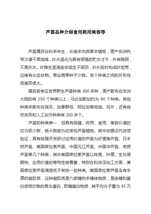 芦荟品种介绍食用药用美容等