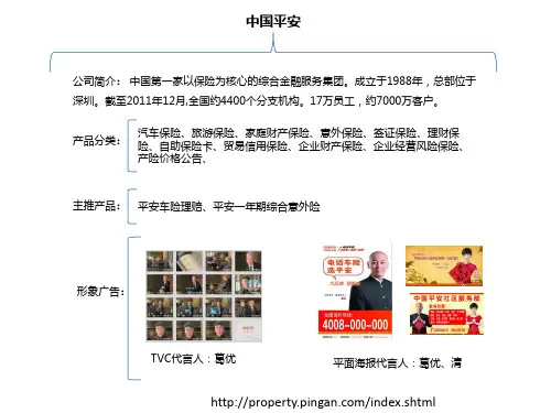 12年九大保险公司资料整理-