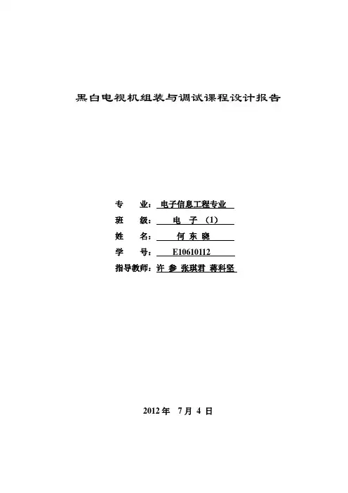 电视机实验报告