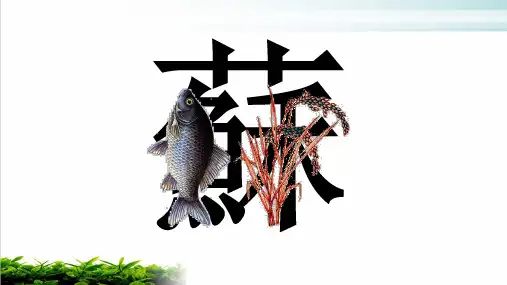 第七章第二节鱼米之乡——长江三角洲地区(共25张PPT)