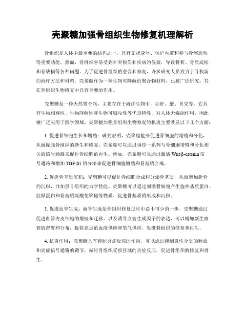 壳聚糖加强骨组织生物修复机理解析