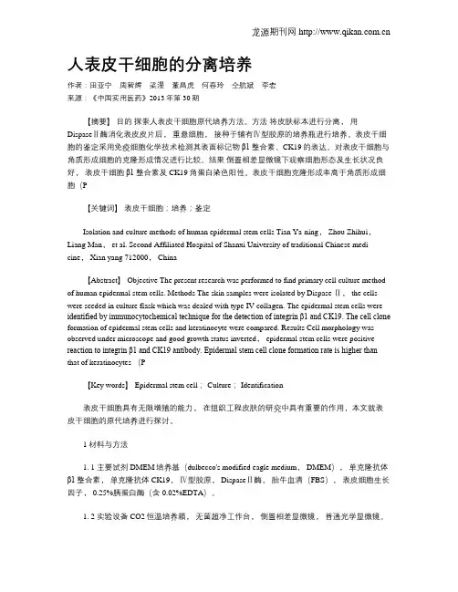 人表皮干细胞的分离培养