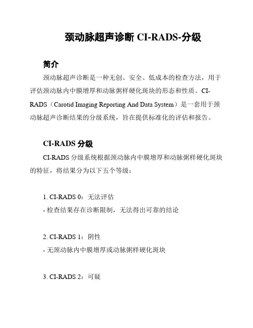 颈动脉超声诊断CI-RADS-分级