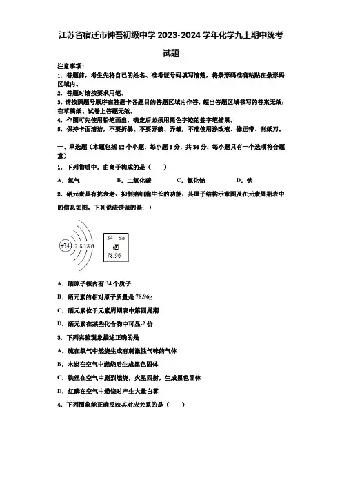 江苏省宿迁市钟吾初级中学2023-2024学年化学九上期中统考试题含解析