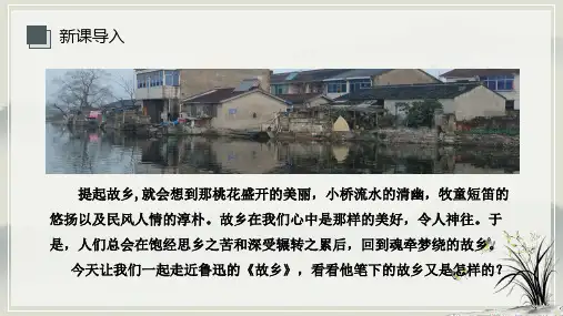 初三上册语文《故乡》PPT课件(38页)