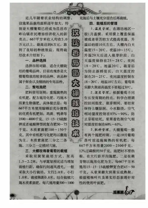 玫瑰香葡萄大棚栽培技术