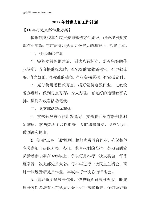 2017年村党支部工作计划