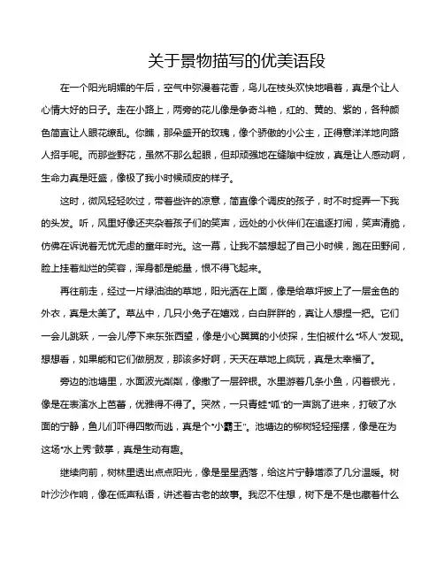 关于景物描写的优美语段