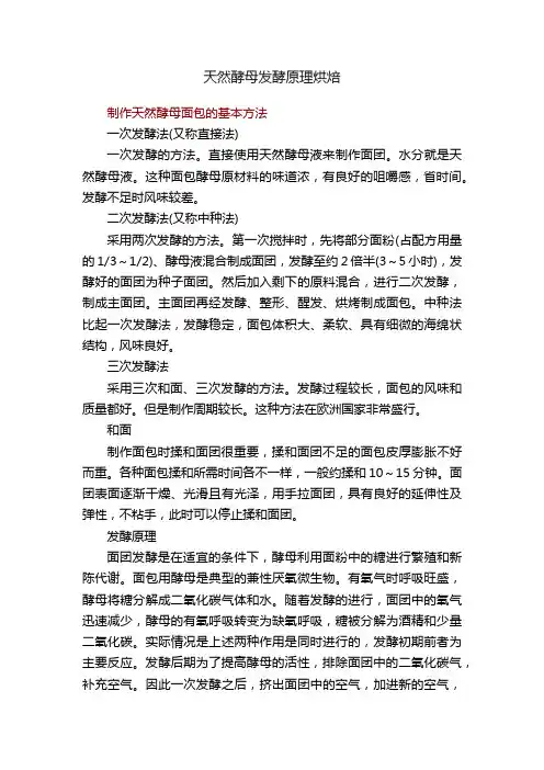 天然酵母发酵原理烘焙