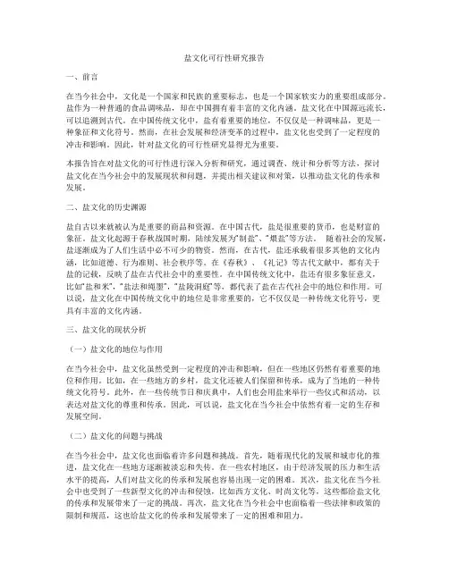 盐文化可行性研究报告