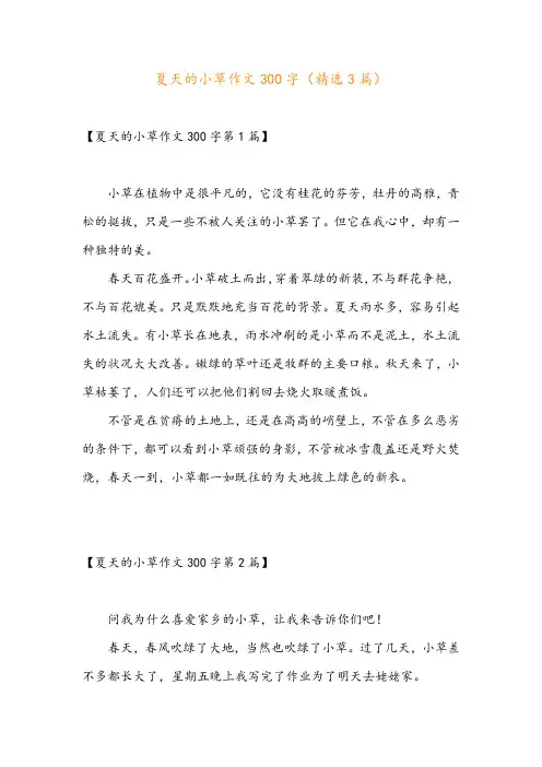 夏天的小草作文300字(精选3篇)