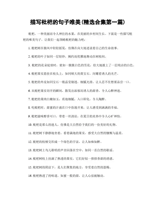 描写枇杷的句子唯美(精选合集两篇)