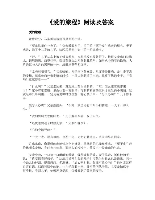 《爱的旅程》阅读及答案