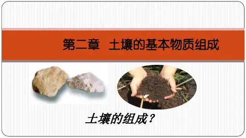 土壤矿物质与岩石的风化