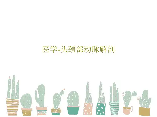 医学-头颈部动脉解剖共31页