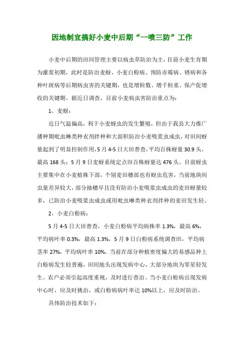因地制宜搞好小麦中后期“一喷三防”工作