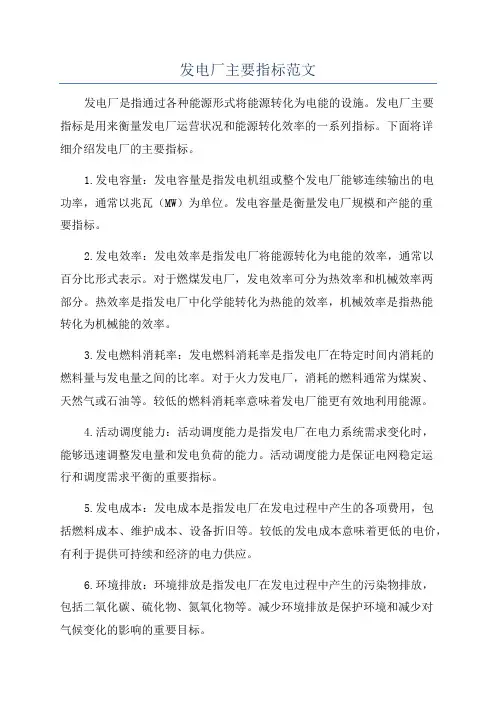 发电厂主要指标范文