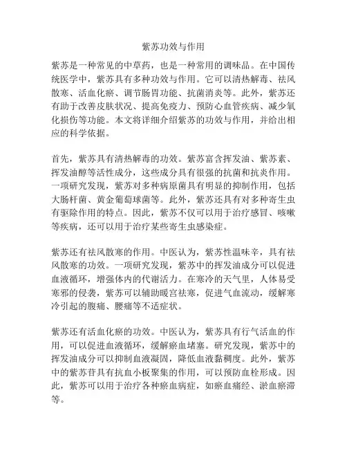 紫苏功效与作用