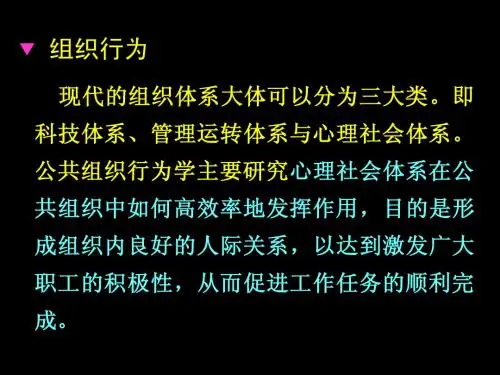 组织行为(13)