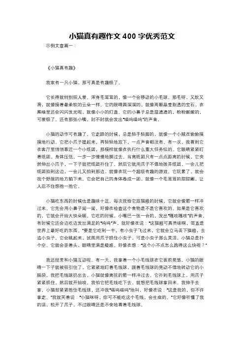 小猫真有趣作文400字优秀范文