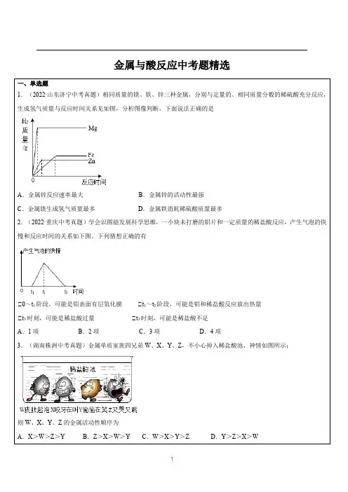 2023年浙江省中考科学一轮冲刺练习：金属与酸反应中考题精选