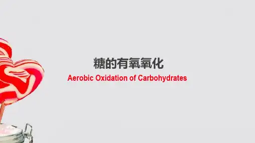 糖的有氧氧化