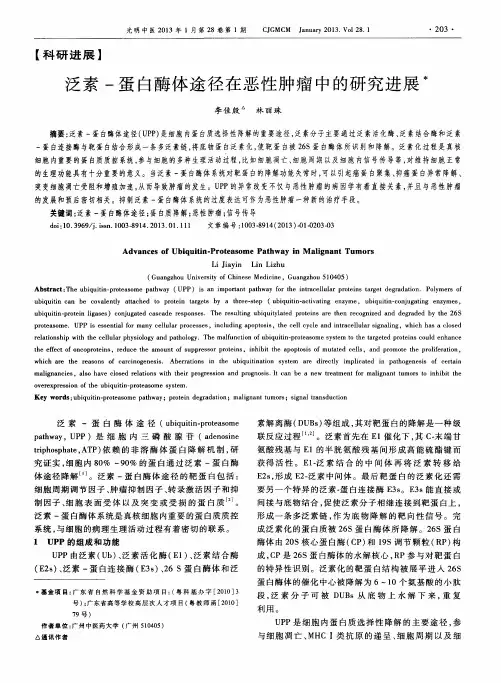 泛素-蛋白酶体途径在恶性肿瘤中的研究进展