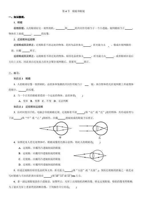 人教版物理八年级上册：5.4—5.5  同步练习(附答案)