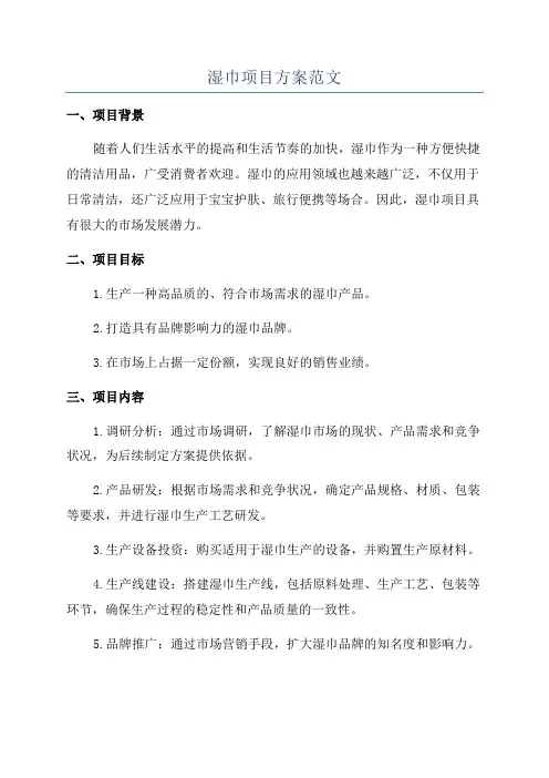 湿巾项目方案范文