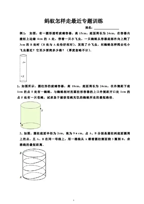 蚂蚁怎样走最近专题训练