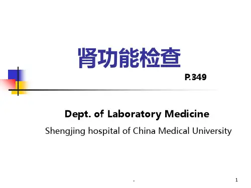 肾脏功能实验室检查PPT课件