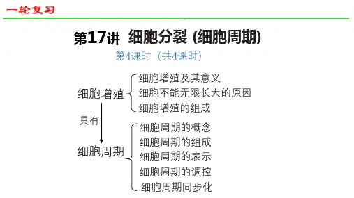 高三生物一轮复习课件33：细胞分裂(第4课时)