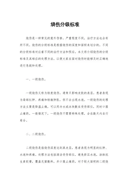烧伤分级标准