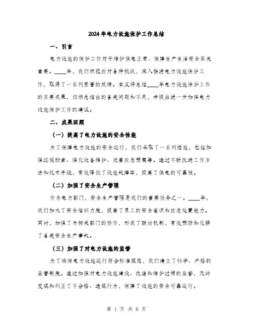 2024年电力设施保护工作总结（2篇）