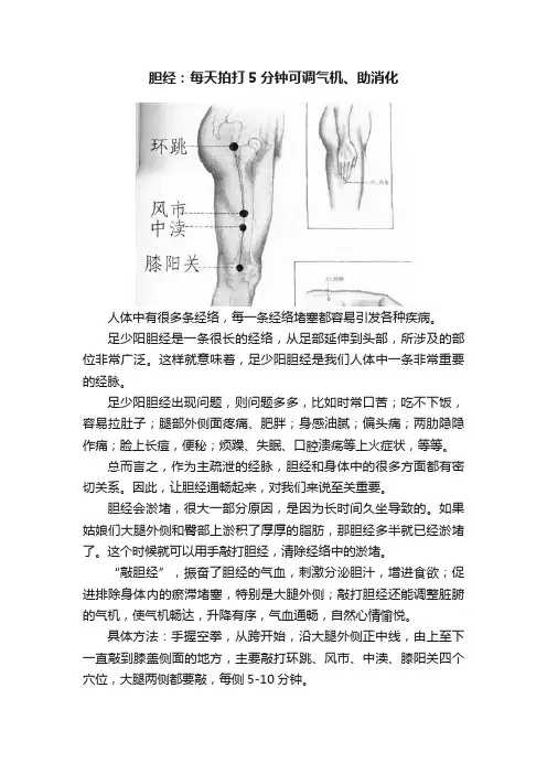 胆经：每天拍打5分钟可调气机、助消化