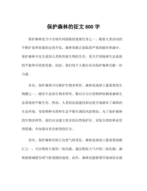保护森林的征文800字