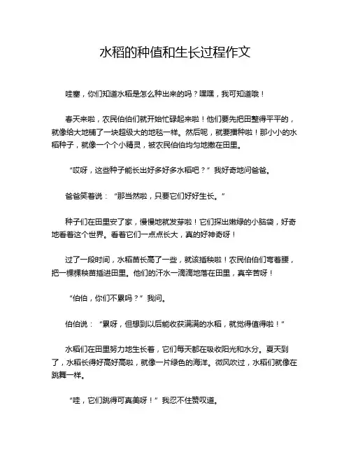 水稻的种值和生长过程作文