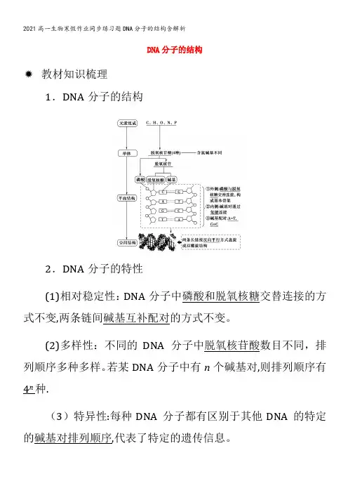 高一生物寒假作业同步练习题DNA分子的结构含解析