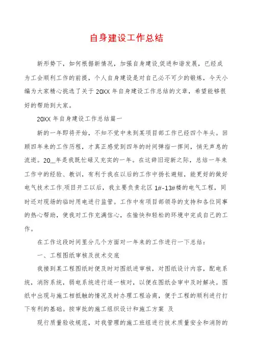 自身建设工作总结