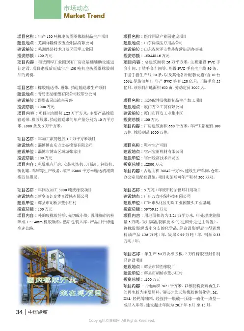 15089505_拟在建项目