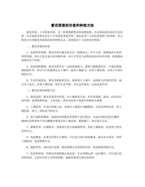紫花苜蓿的价值和种植方法