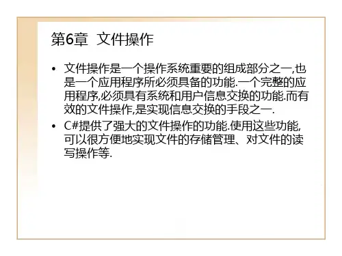 《文件操作》PPT课件