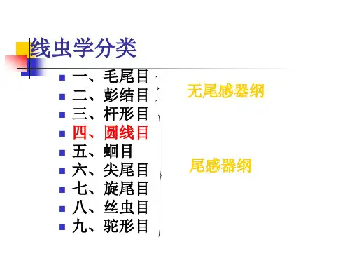 一 毛园科线虫病(园线虫病之一)