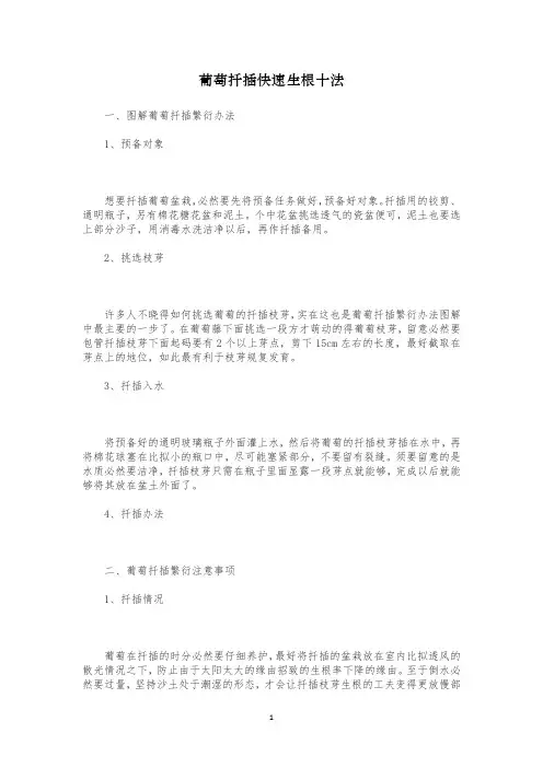 葡萄扦插快速生根十法