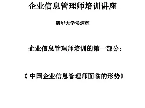 企业信息管理师培训讲座ppt精品文档28页
