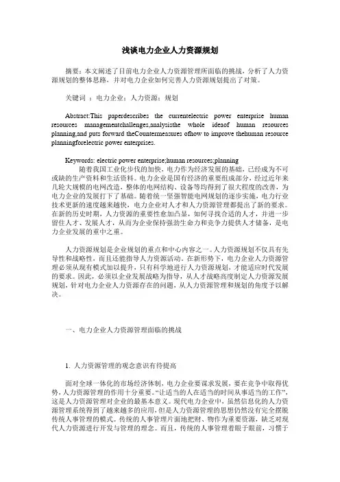 浅谈电力企业人力资源规划