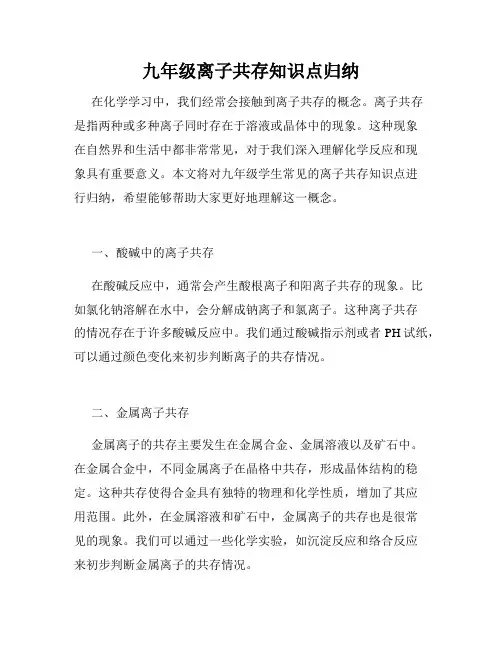 九年级离子共存知识点归纳