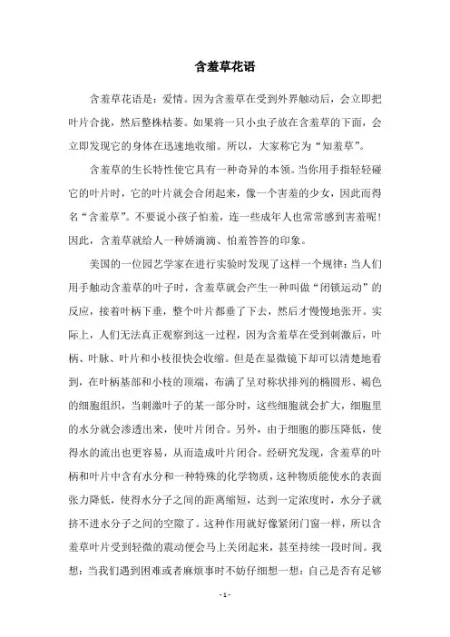 含羞草花语