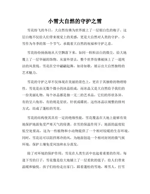 小雪大自然的守护之雪