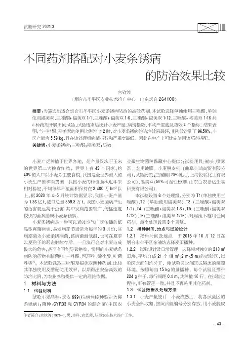 不同药剂搭配对小麦条锈病的防治效果比较